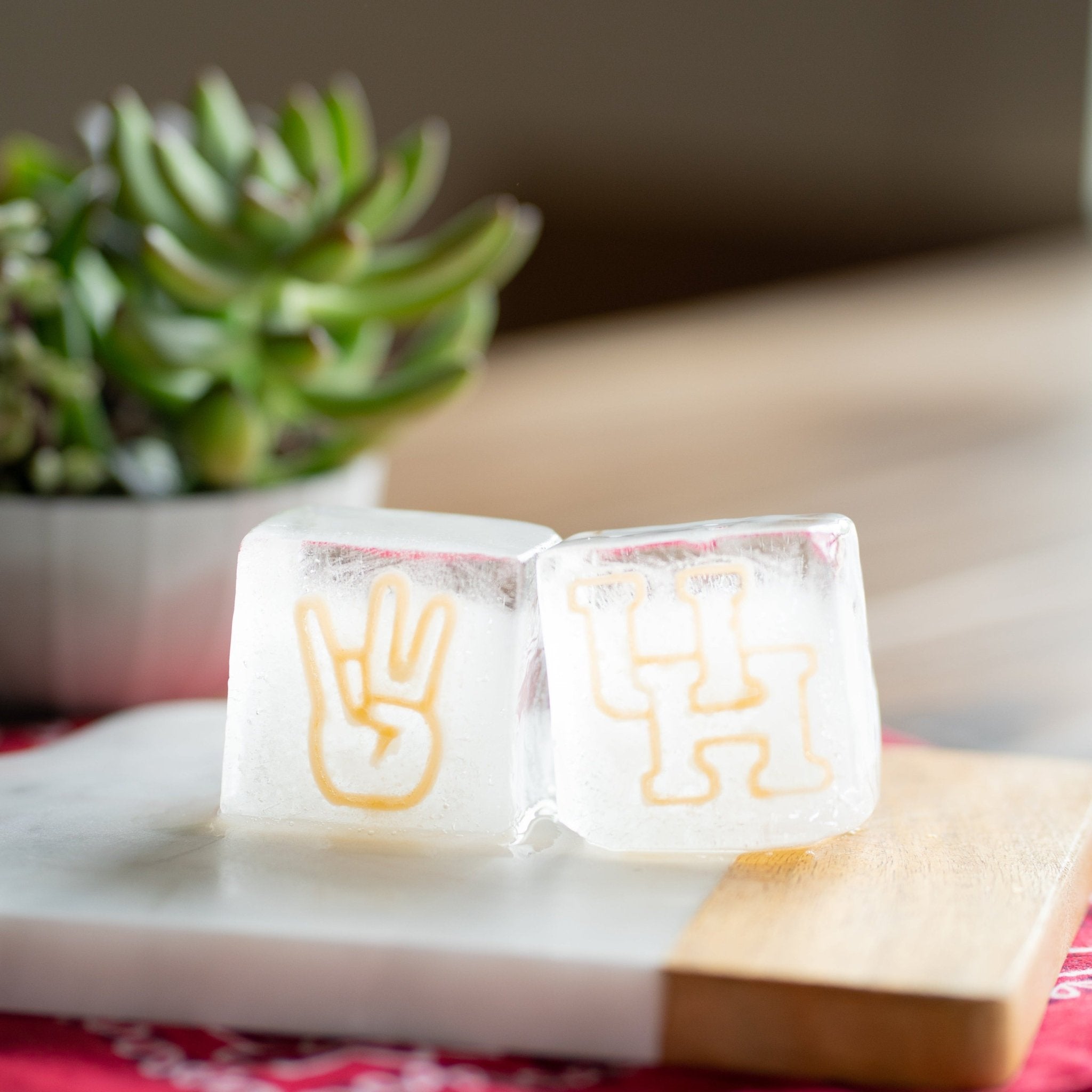 University of Houston Bundle