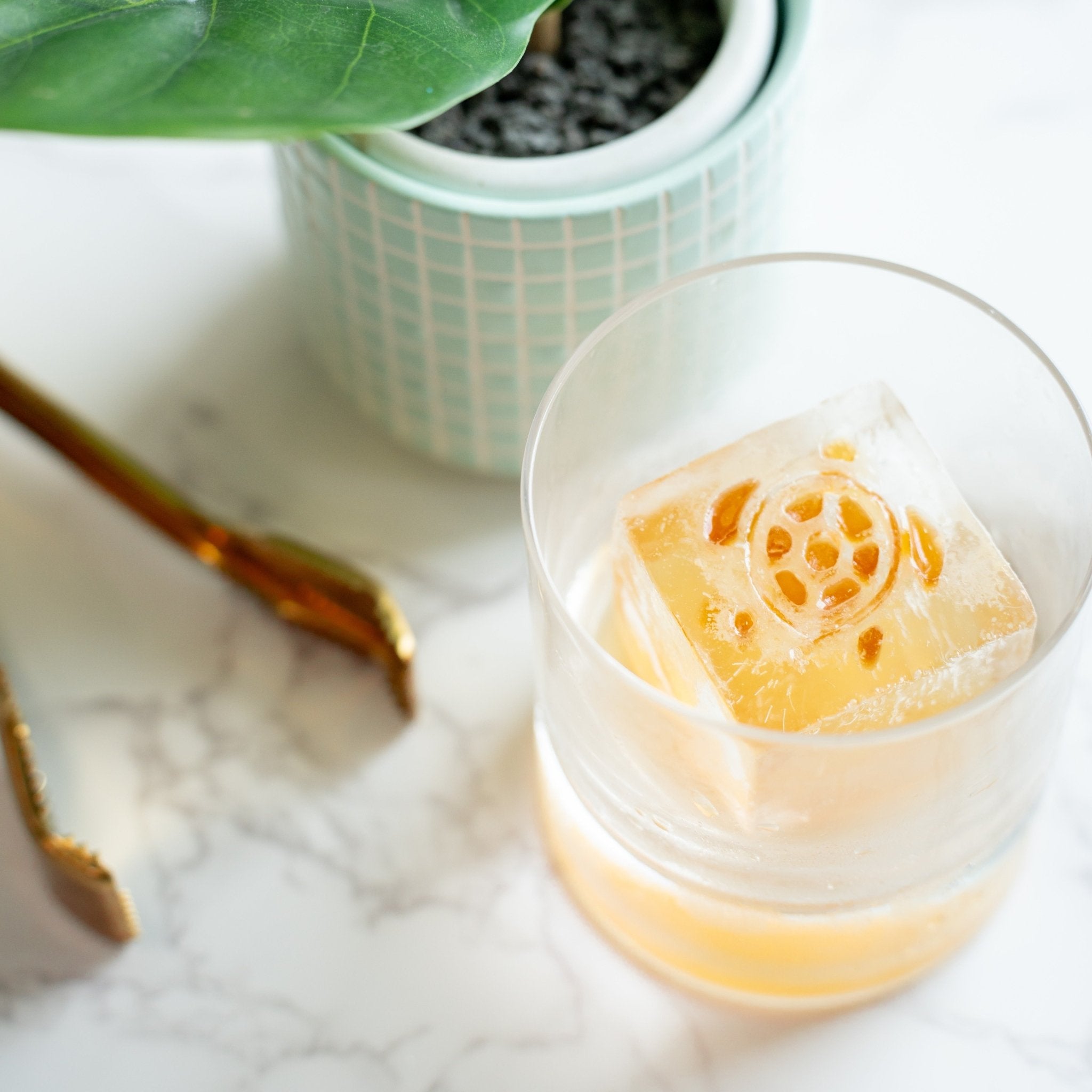 Coastal Bundle – high - quality by rOks