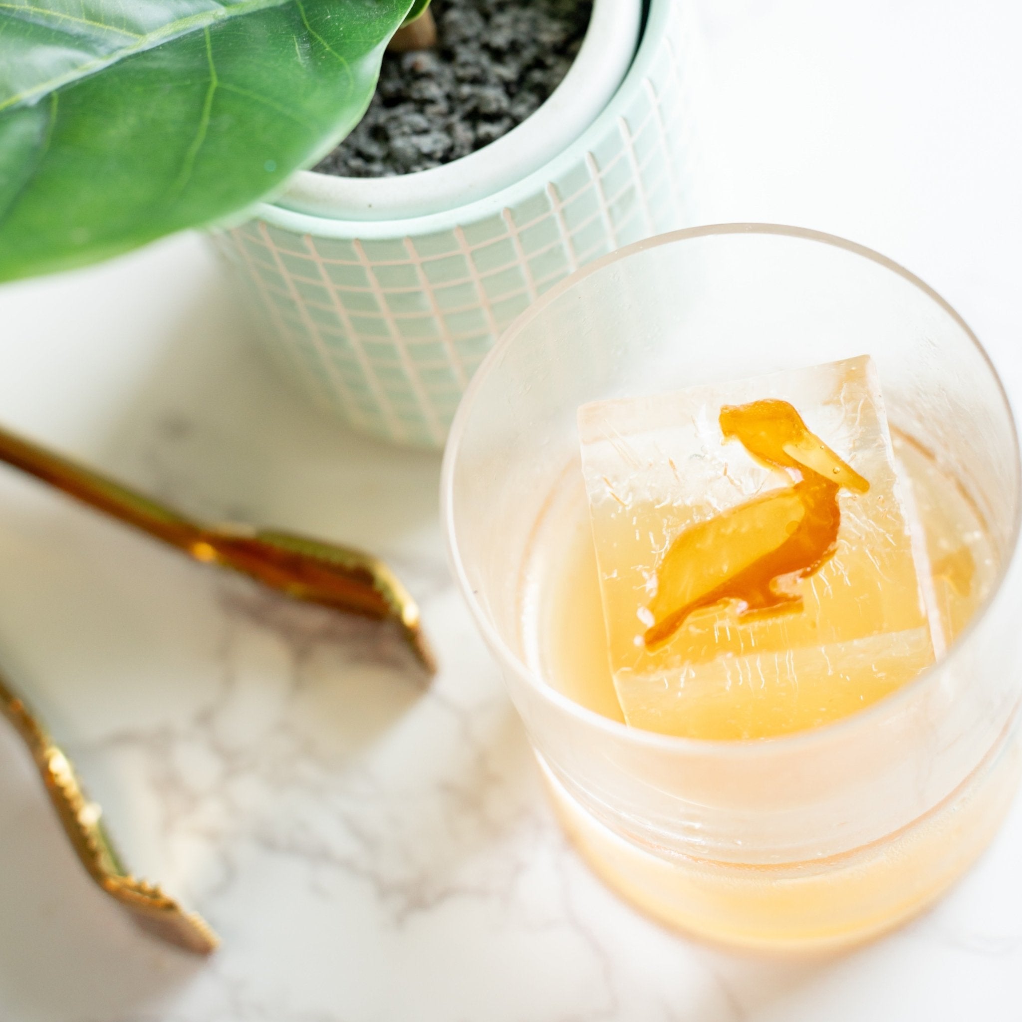 Coastal Bundle – high - quality by rOks