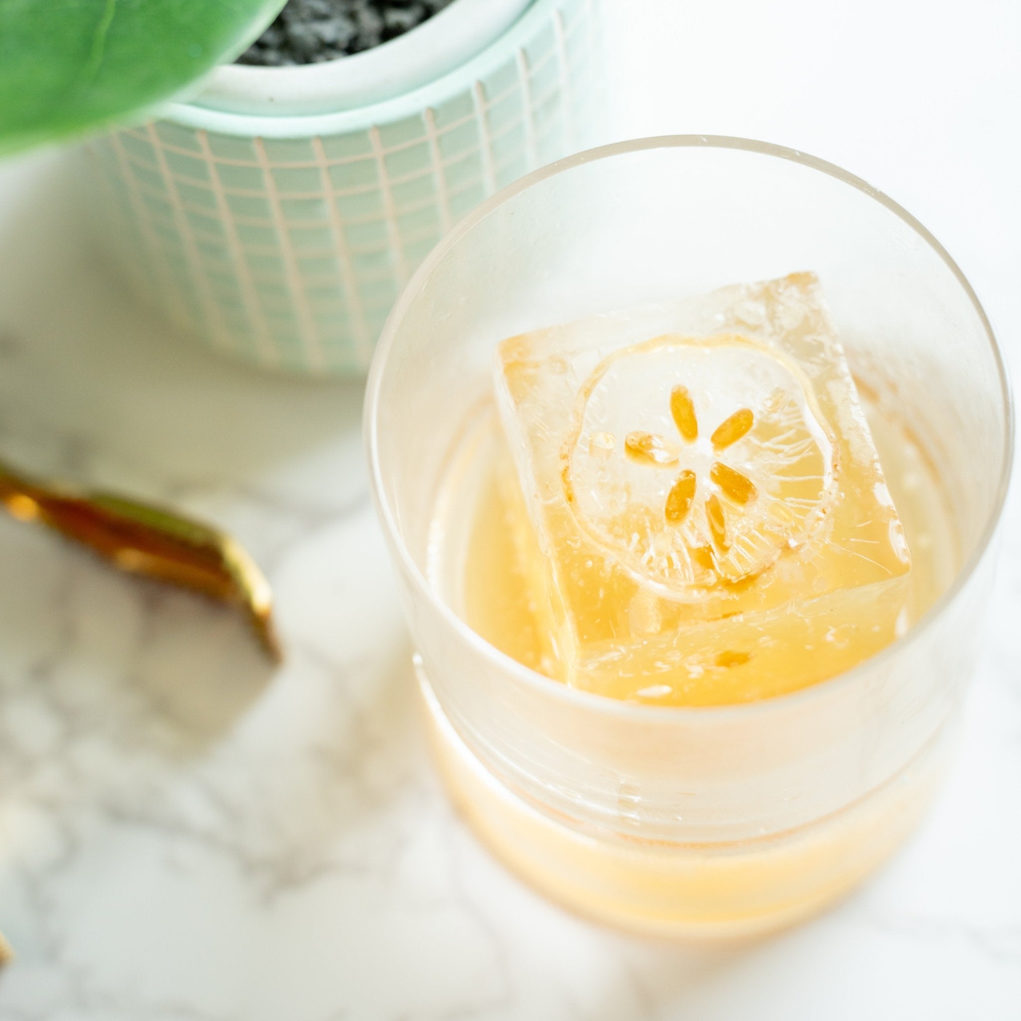 Coastal Bundle – high - quality by rOks