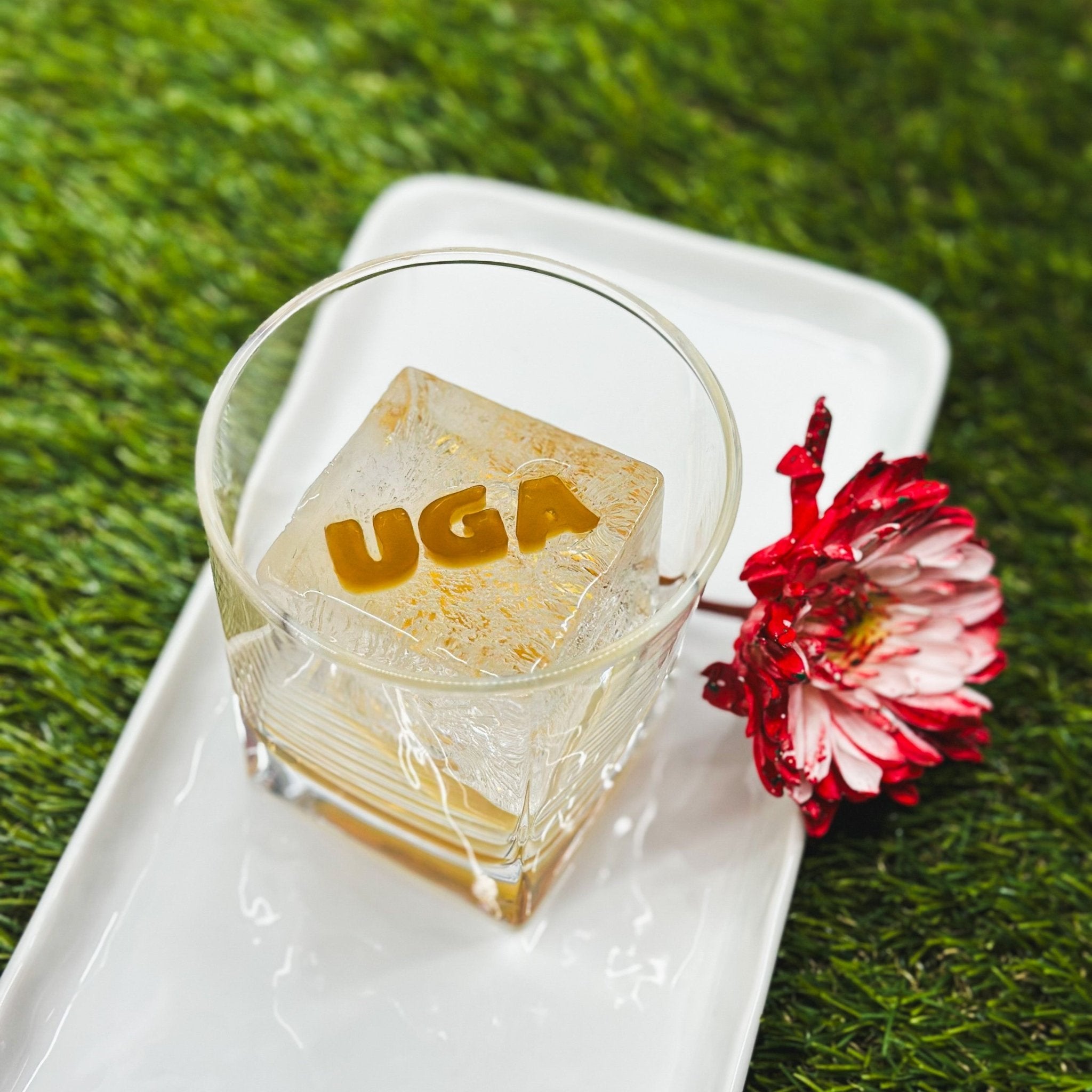 Georgia Bundle – high - quality Collegiate Bundle by rOks