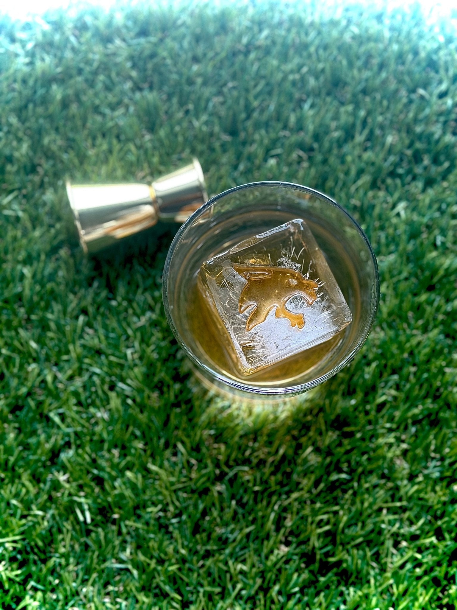 Texas State Bundle – high - quality Collegiate Bundle by rOks