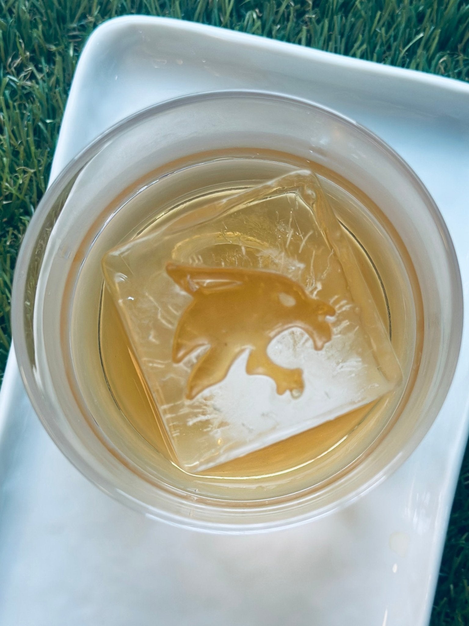 Texas State Bundle – high - quality Collegiate Bundle by rOks