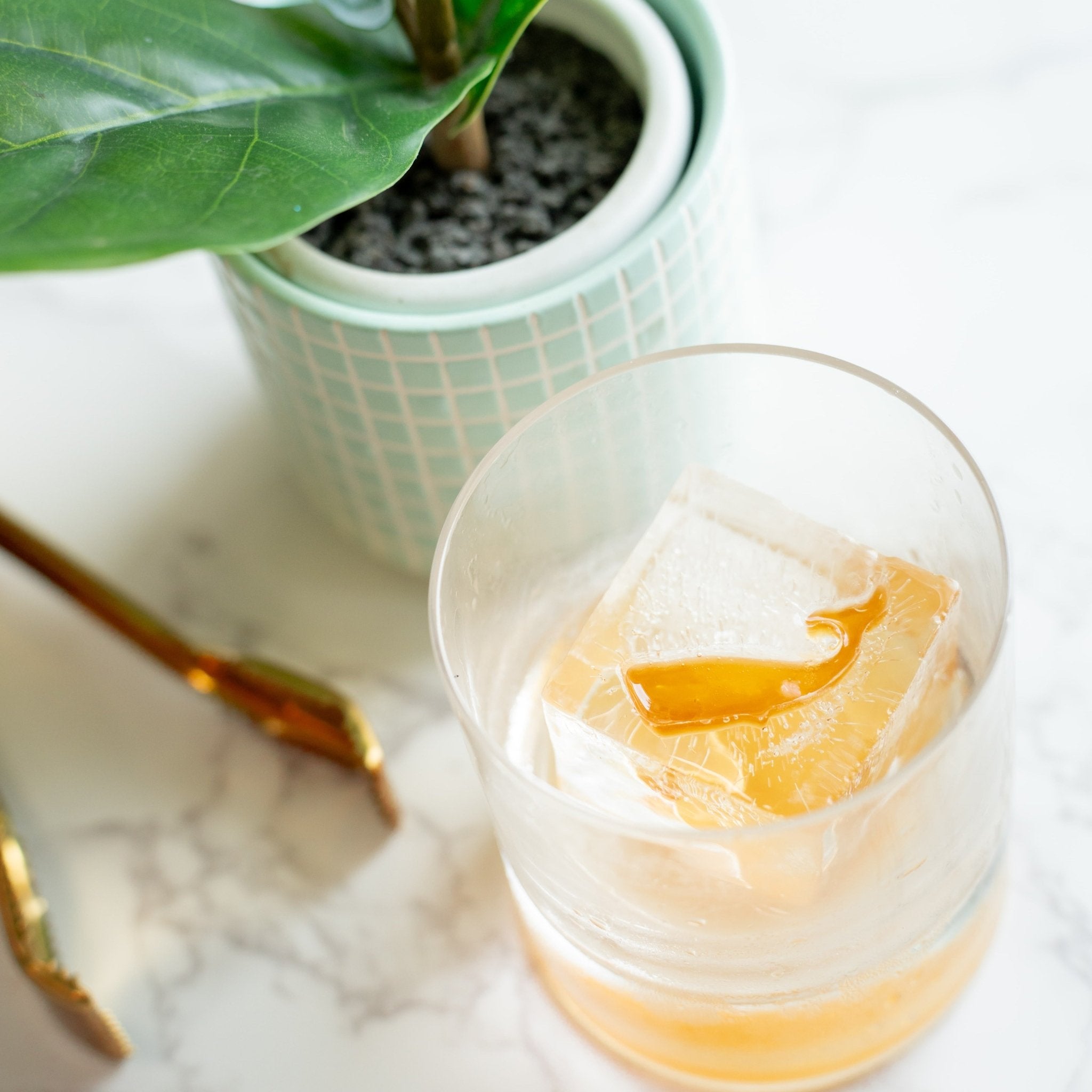 Whale Inserts - 3 Pack – high - quality by rOks