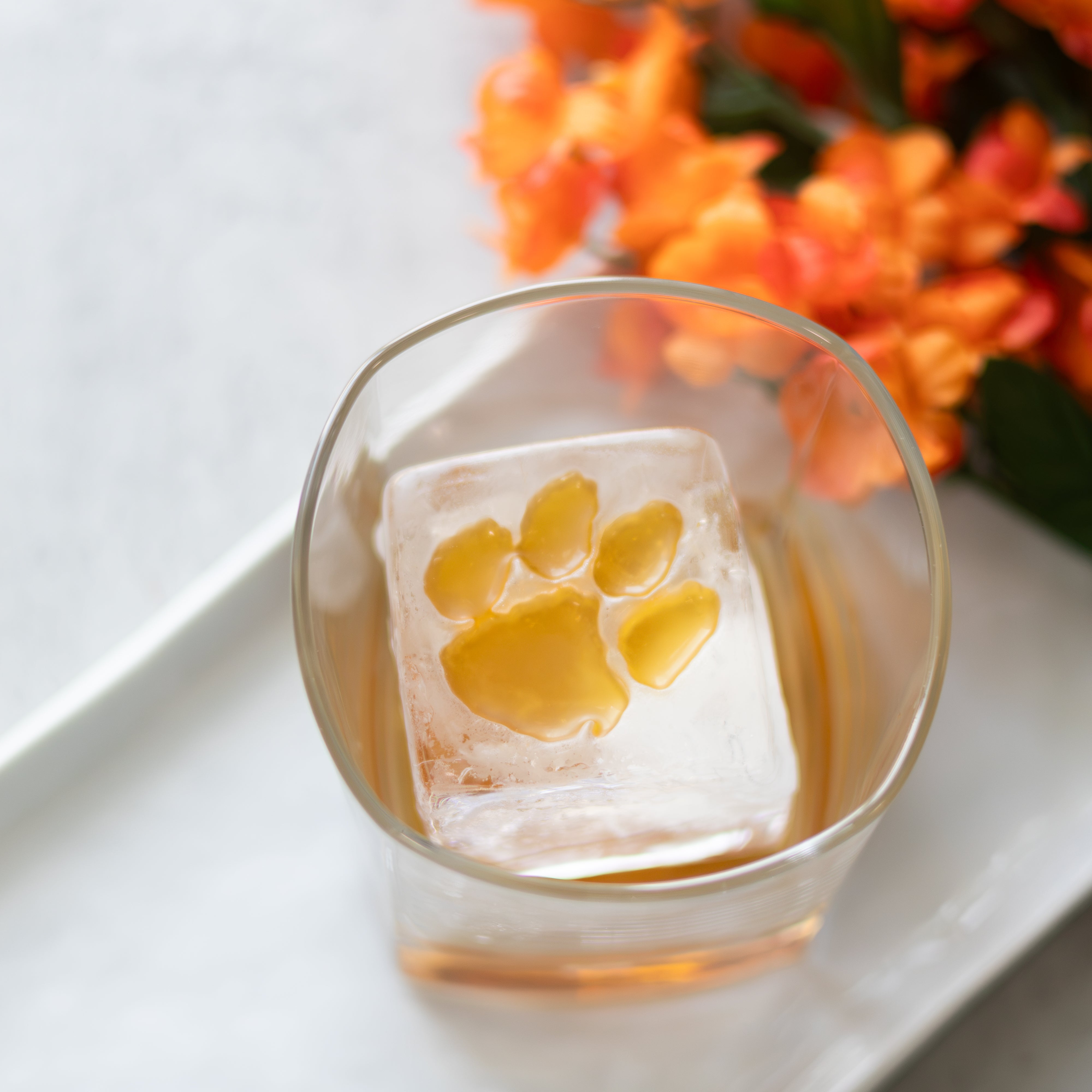 Clemson Bundle