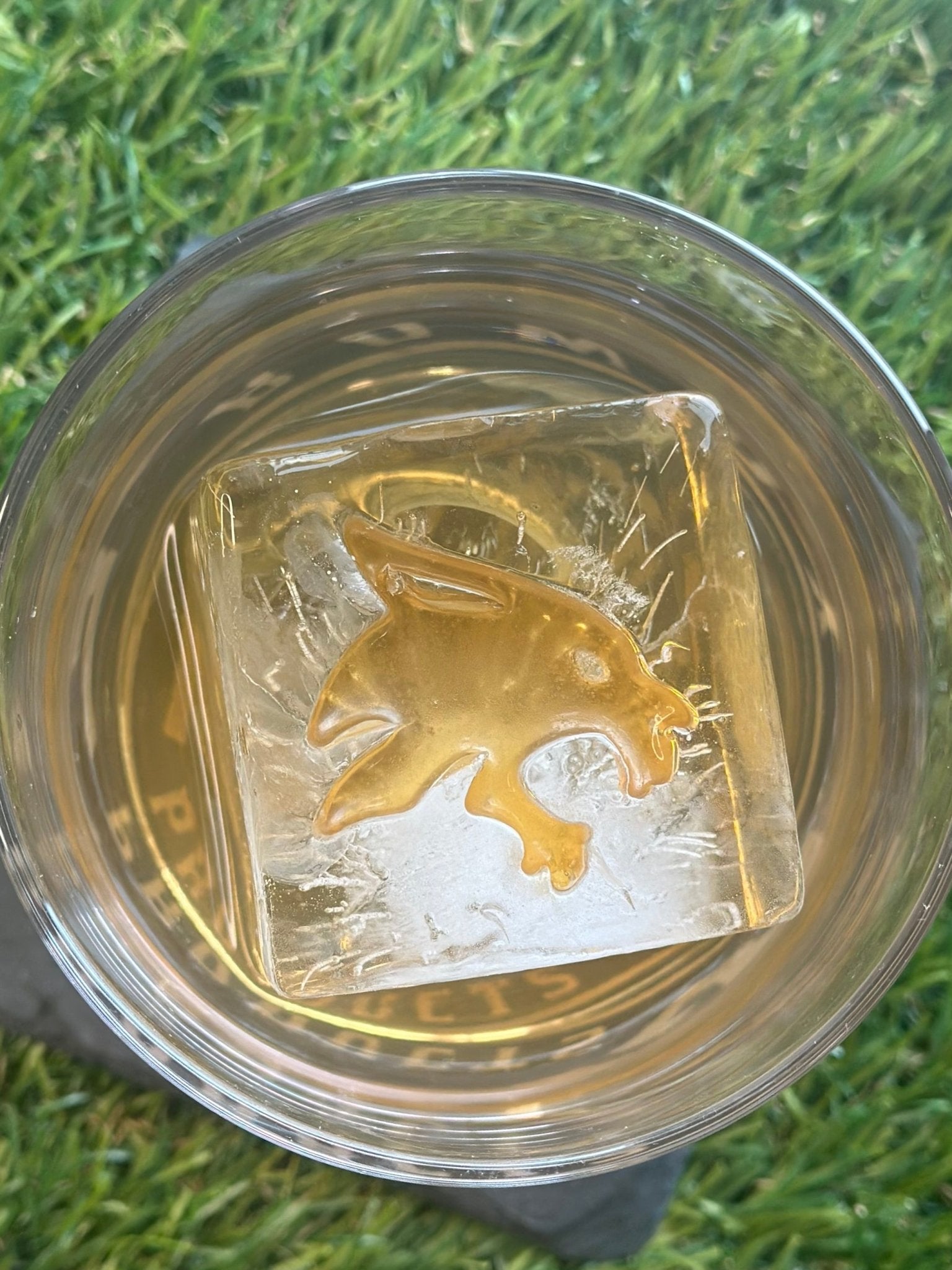 Texas State Bundle – high - quality Collegiate Bundle by rOks